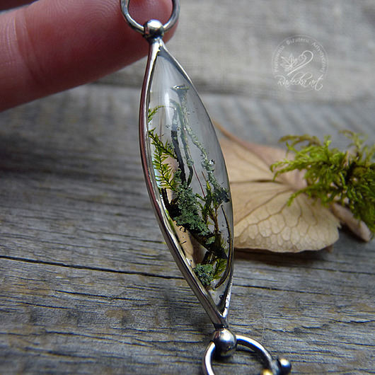 Forest Treasury Radecka art