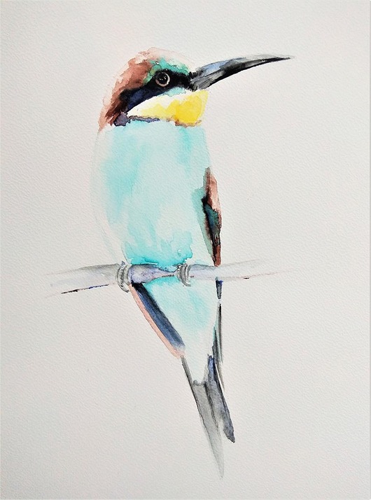 Akwarela Ptak Żołna Wiktoria Borys Art