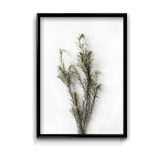 plakaty Plakat Floral No.5 