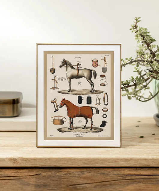 grafiki i ilustracje PLAKAT vintage jazda konna koń