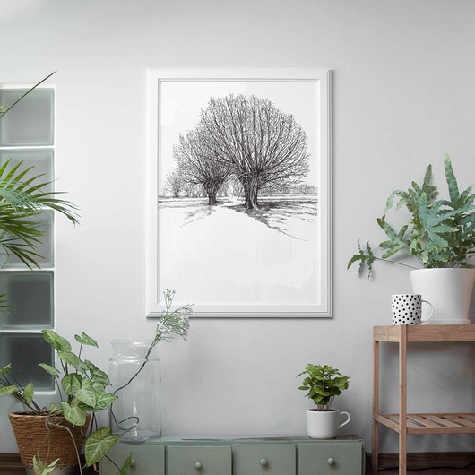 grafiki i ilustracje Wierzby