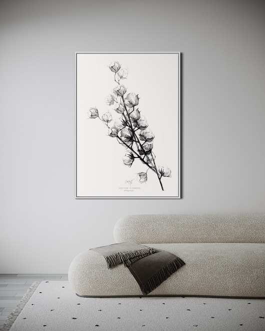 grafiki i ilustracje Kwiaty bawełny 50x70 cm