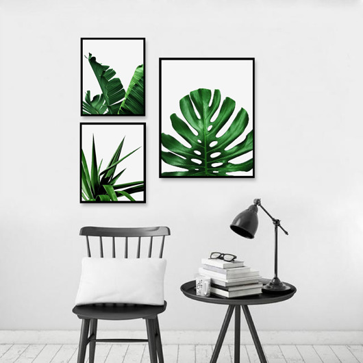 ZESTAW PLAKATÓW BOTANICZNYCH plakaty monstera black dot studio