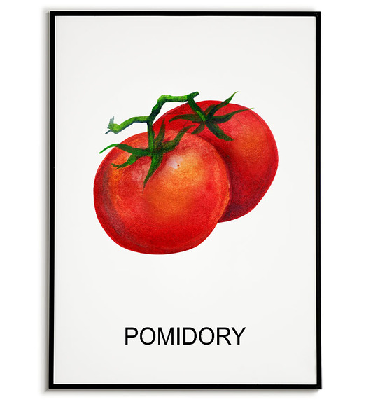 plakaty Plakat  GRAFIKA POMIDORY warzywa ZIOŁA
