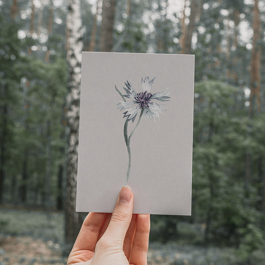 pocztówka | kartka | chaber | A6 Merely Susan