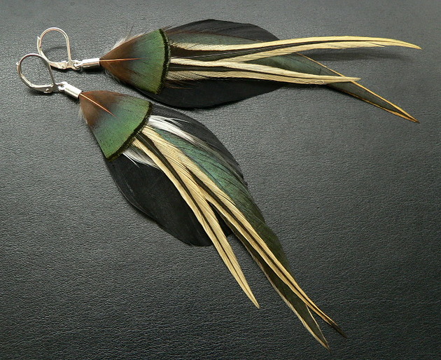 Pióra black Stella