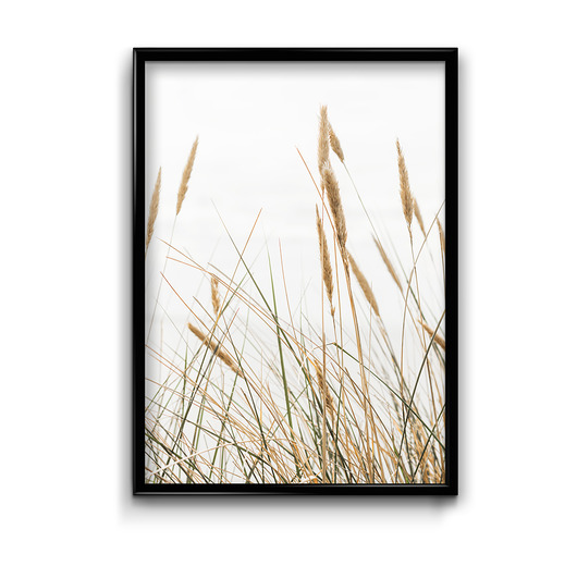 Plakat Morskie Trawy Bury Lis