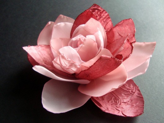 różowa piwonia_wyprzedaż SundayRose