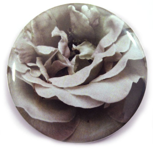 rosarium3 pixelove