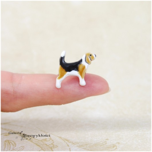 Beagle mini- ceramiczne kolczyki Dorca