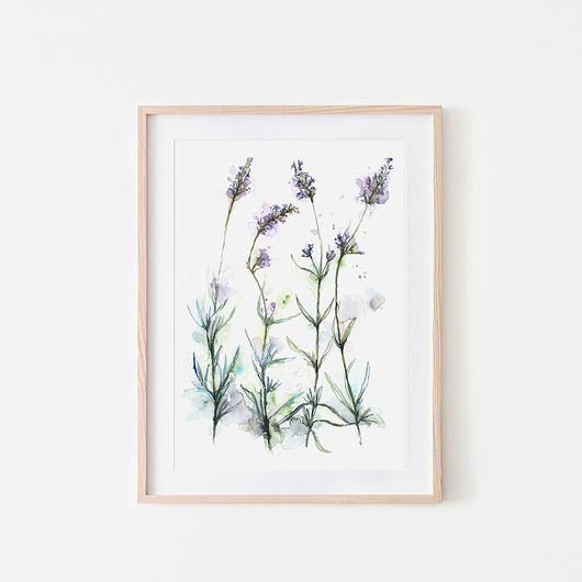 grafiki i ilustracje Lawenda, 21x30 cm