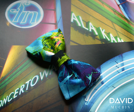 DAVID  - kolorowa mucha MUCHIN