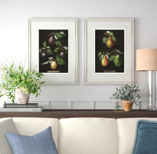 grafiki i ilustracje DWA PLAKATY galeria botaniczne owoce