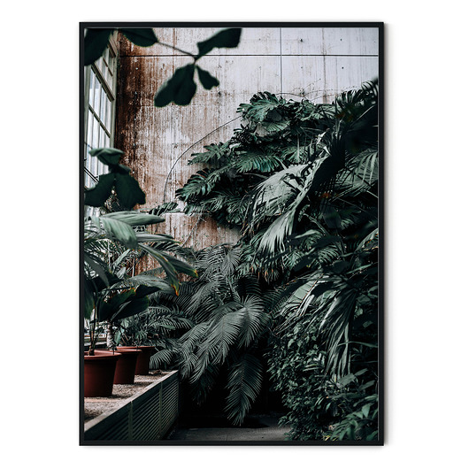 Plakat botaniczny Ogród botaniczny myscandi