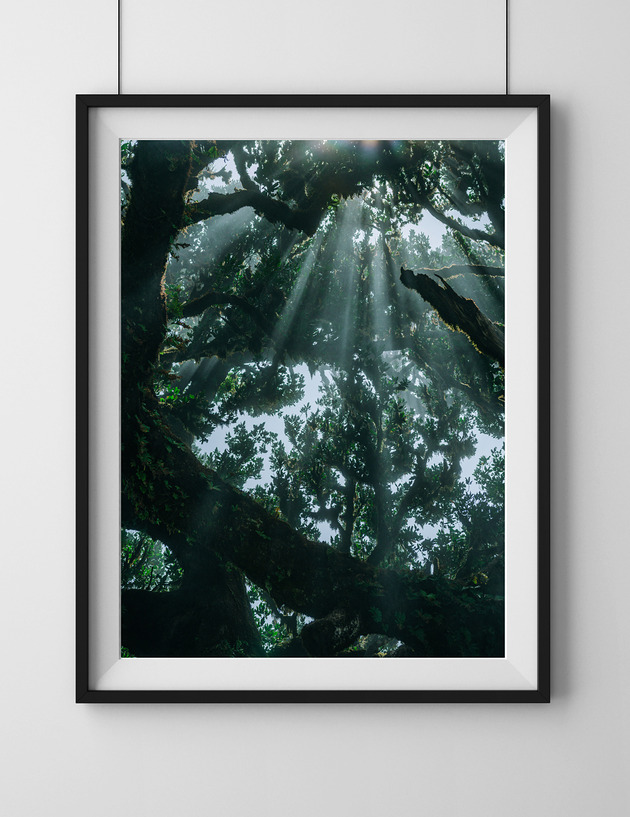 plakaty Promienie słońca, Fanal, plakat, fotografia, plik cyfrowy