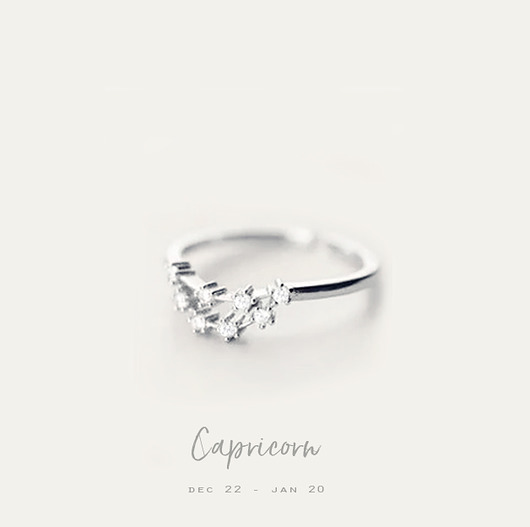 pierścionki srebrne Pierścionek Capricorn - konstelacja Koziorożca srebrny 