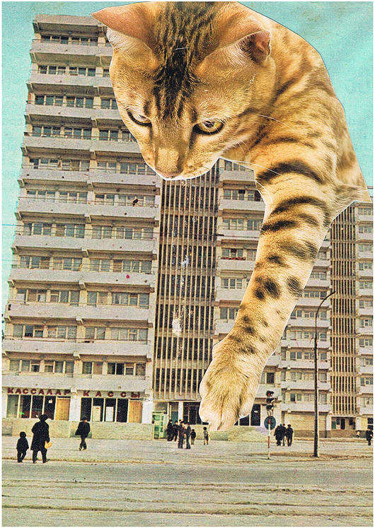 plakaty Kocilla -  Kolaż - plakat - wydruk