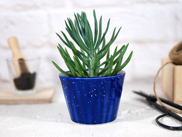 doniczki Mała doniczka  na kaktusy i sukulenty - niebo
