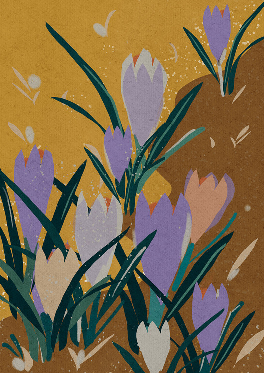 plakaty Plakat Fine Art giclee KROKUSY