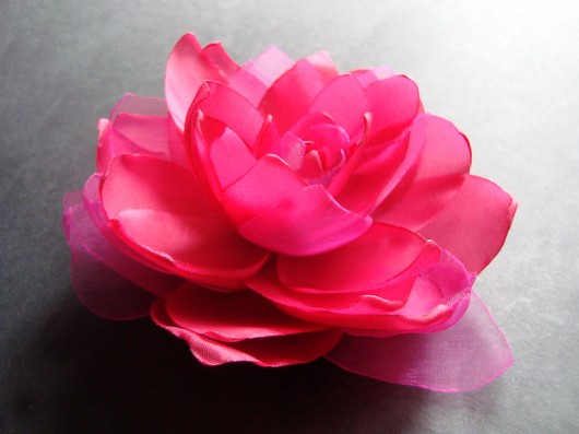 piwonia w  różach SundayRose