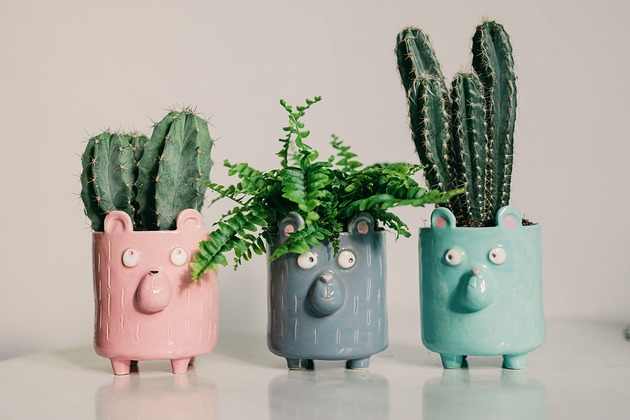 doniczki Zestaw Trzech Doniczek Niedźwiadków