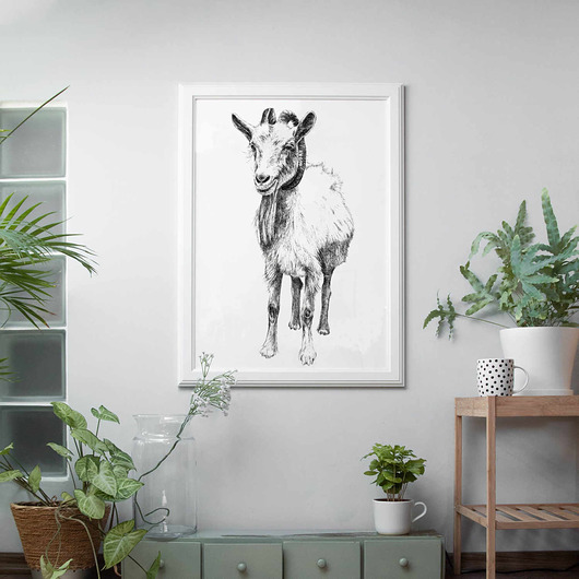Zestaw grafik Koza, Bocian zamówienie specjalne beata sketches