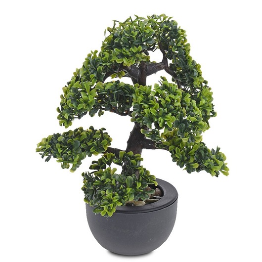 Drzewko Bonsai Liściaste MIA home