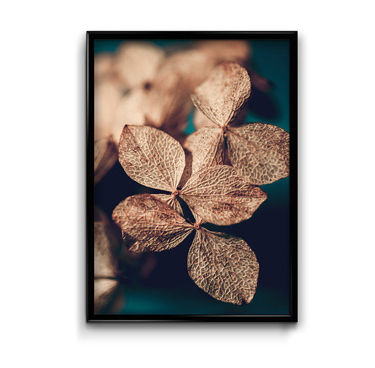 Plakat Suche Kwiatki  Bury Lis