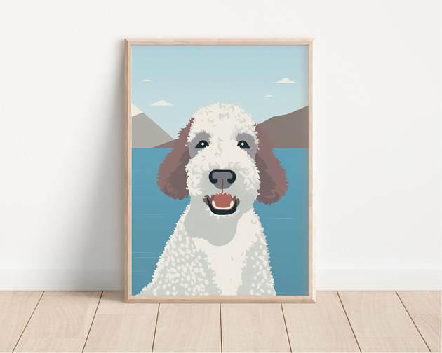 plakaty Plakat lagotto romagnolo