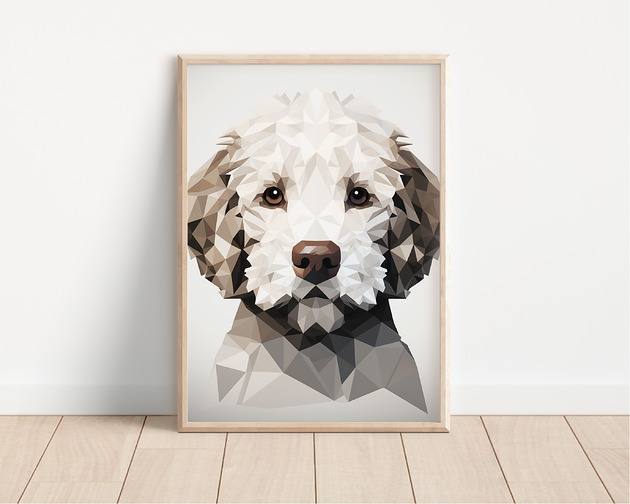 plakaty Plakat lagotto romagnolo