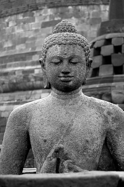 Budda VI Chilli Art