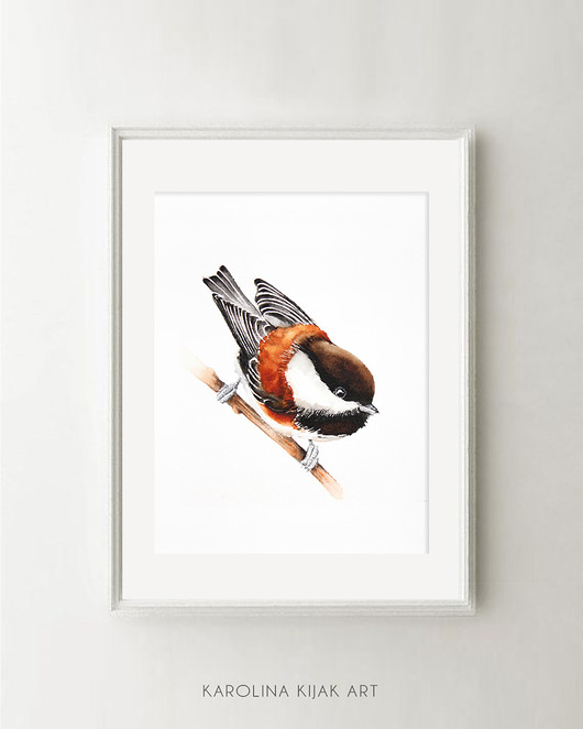 Sikora brunatna  -plakat autorski Karolina Kijak
