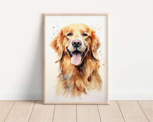 plakaty Plakat golden retriever