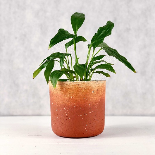 Doniczka B-12 Terracotta Betonove