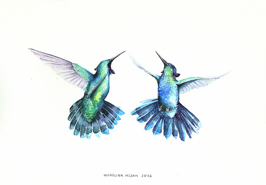 Para kolibrów - plakat, reprodukcja A4 Karolina Kijak