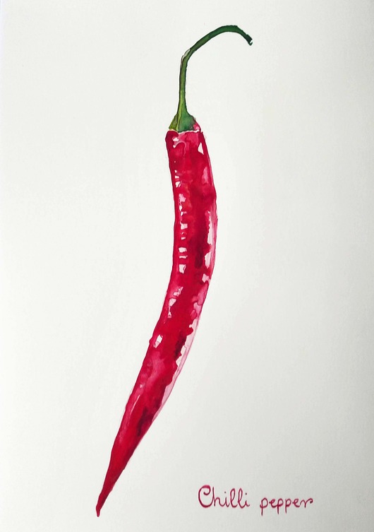 Chilli mrszebra
