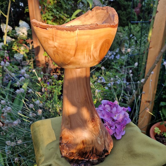 figurki i rzeźby Drewniany Kielich Lasu