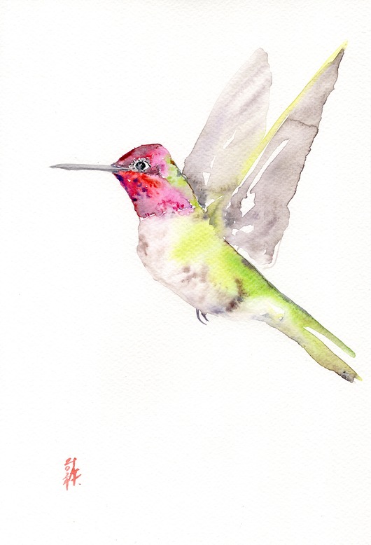 obrazy Oryginalna akwarela. Koliber