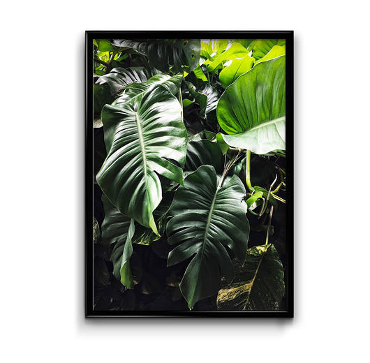 Plakat Floral  Bury Lis