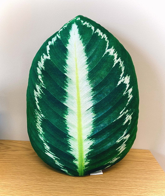 poduszki z grafiką Poduszka Liść Calathea Kalatea