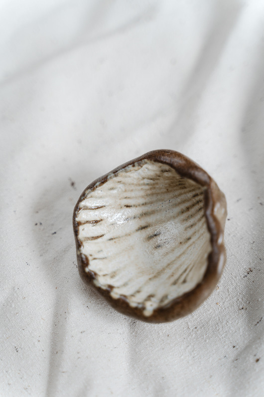 pojemniki na biżuterię Miseczka COQUILLAGE