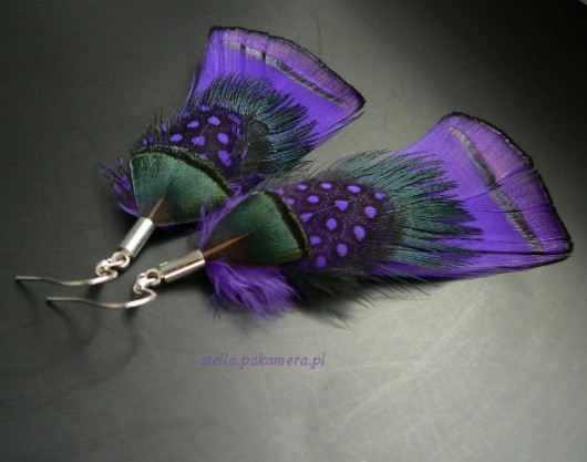 fiordy Stella