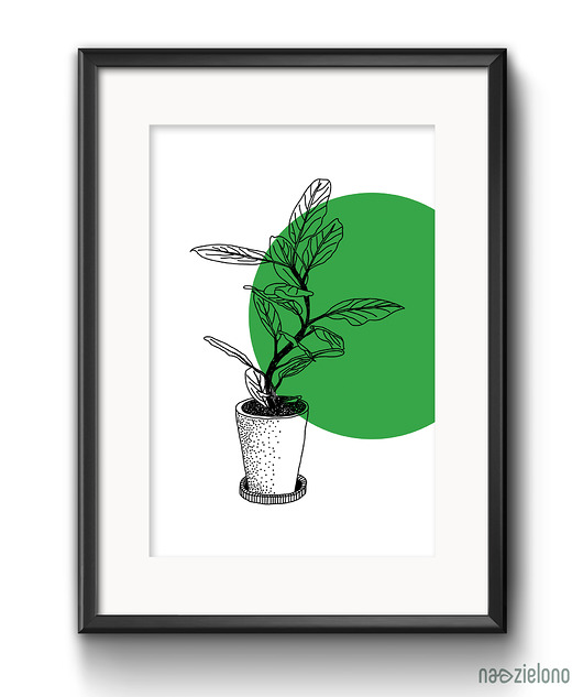 PLAKAT rośliny - autorski projekt NA ZIELONO