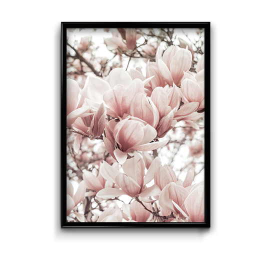 Plakat Blossom  Bury Lis