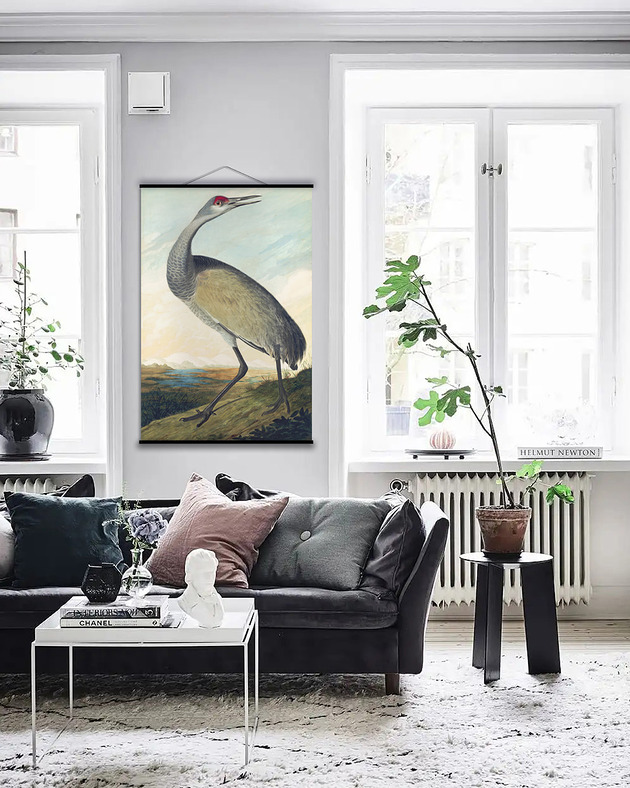 grafiki i ilustracje Duży obraz na płótnie - Żuraw Kanadyjski - John James Audubon