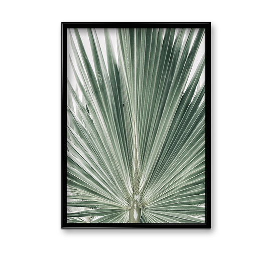 Plakat Botanic #1  Bury Lis
