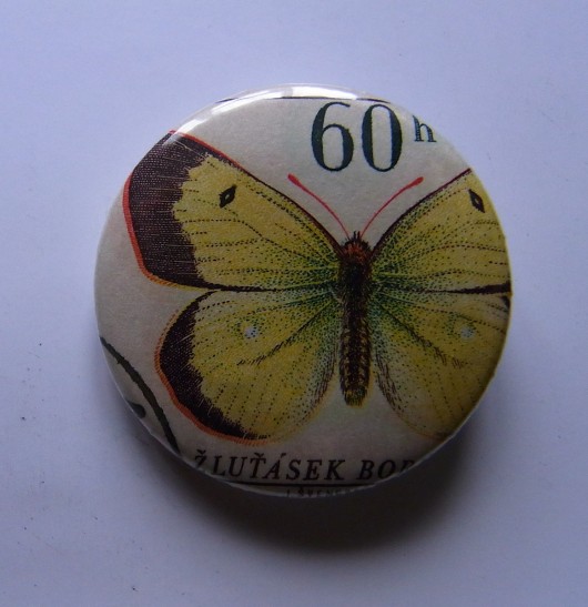 przypinka: motyl Kozi Rog