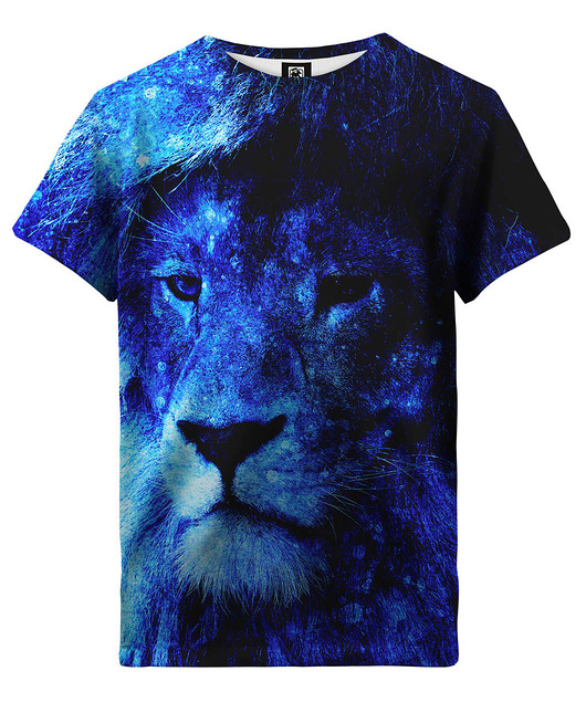 t-shirty dla chłopców T-shirt Boy DR.CROW Shinning Lion