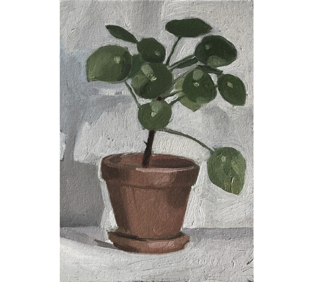 obrazy Pilea - obraz olejny