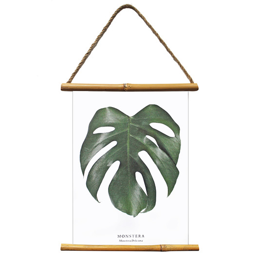 Proporczyk, wiszący plakat MONSTERA DELICIOSA  Lawendowy Bazar